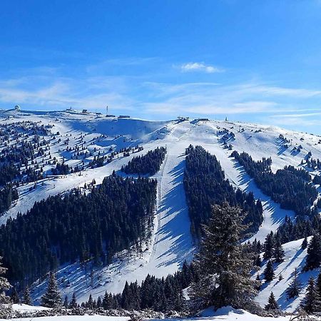Woodside Apartment M Kopaonik Free Parking ภายนอก รูปภาพ