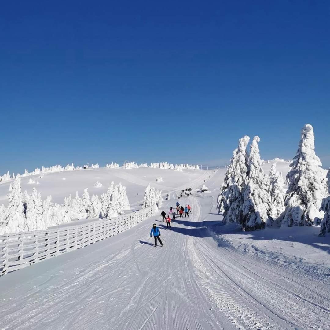 Woodside Apartment M Kopaonik Free Parking ภายนอก รูปภาพ